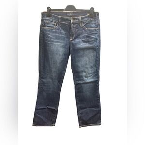 Lucky Brand Easy Rider Blue Skinny Jeans Size 14/32 Regular